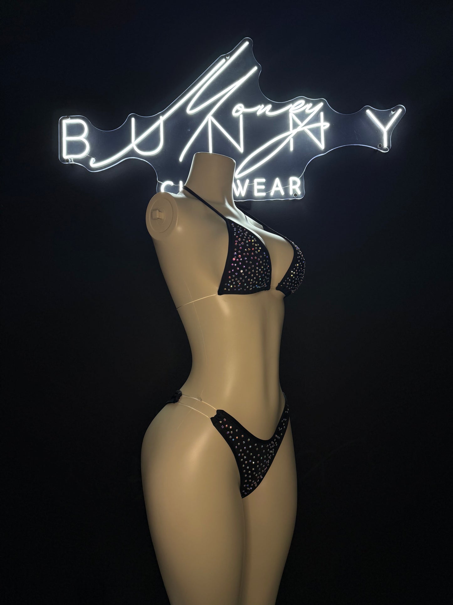 HighRolla— Black Bikini Fits M