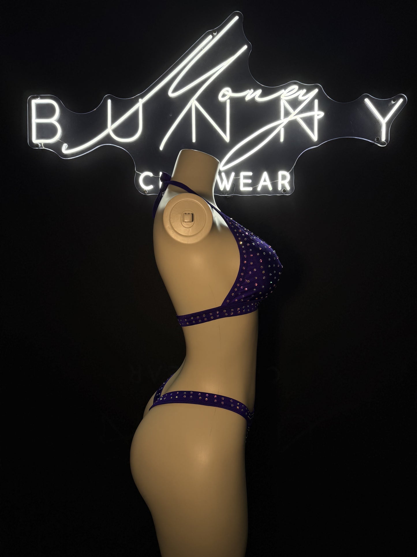 Show Stoppa- Purple Bikini Fits S-M