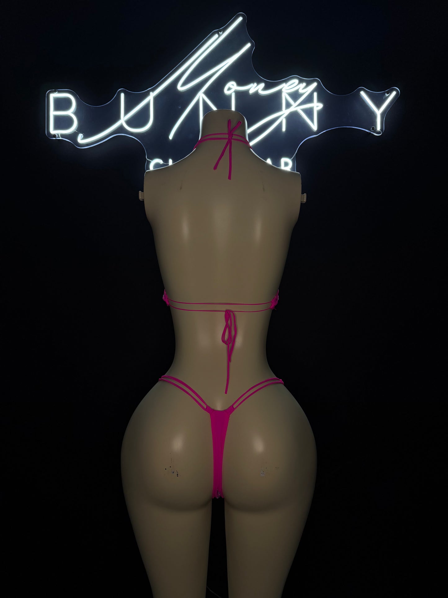 Ali2– Pink Bikini Fits S-L