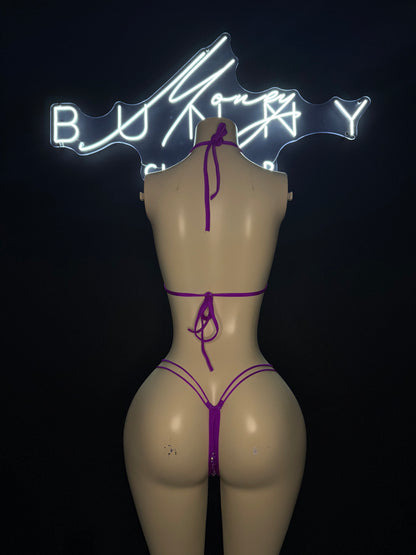 BadHabit— Purple Bikini Fits S-L