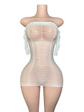 Sheer Elegance Mini Dress