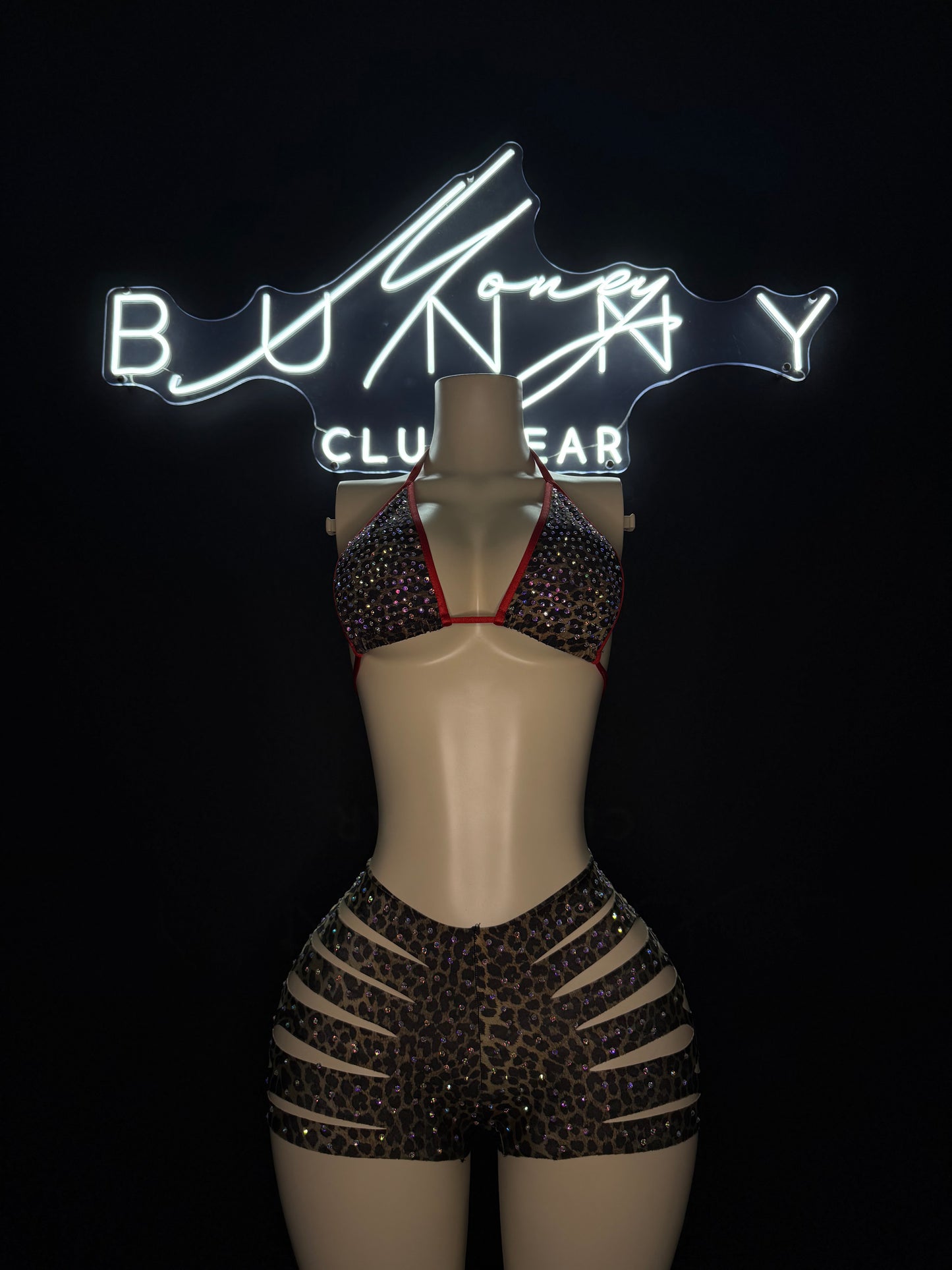 JungleQueen— Animal Print Short Set Fits S-L