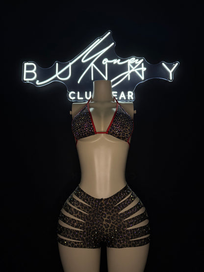 JungleQueen— Animal Print Short Set Fits S-L