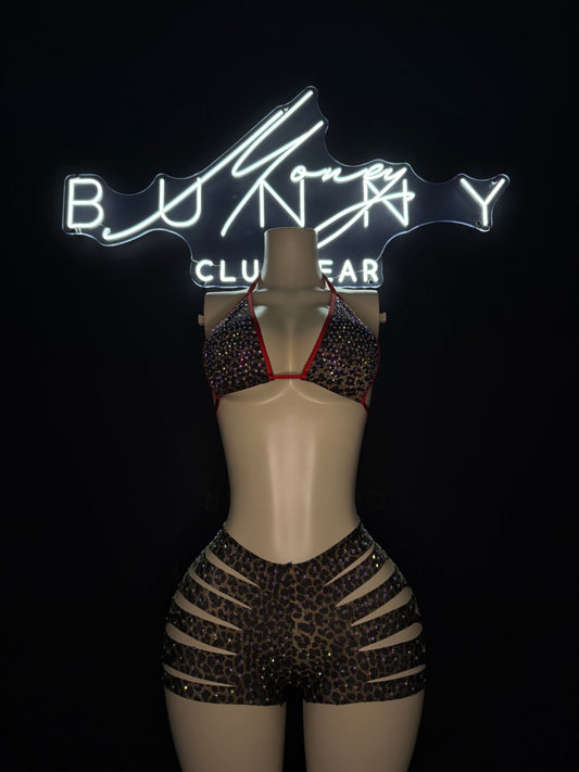 JungleQueen— Animal Print Short Set Fits S-L