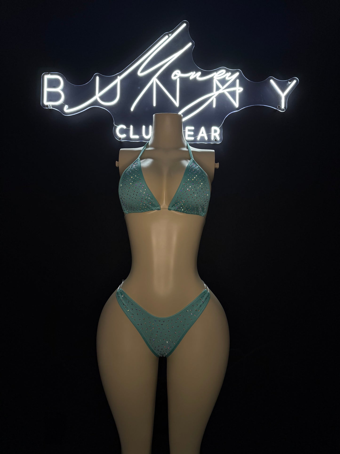 HighRolla— Aqua Bikini Fits M