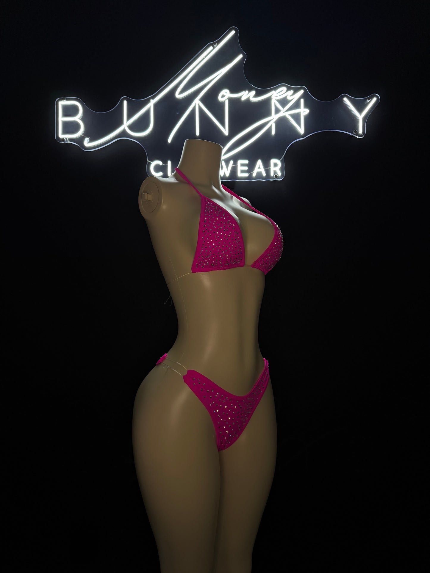 HighRolla— Pink Bikini Fits M