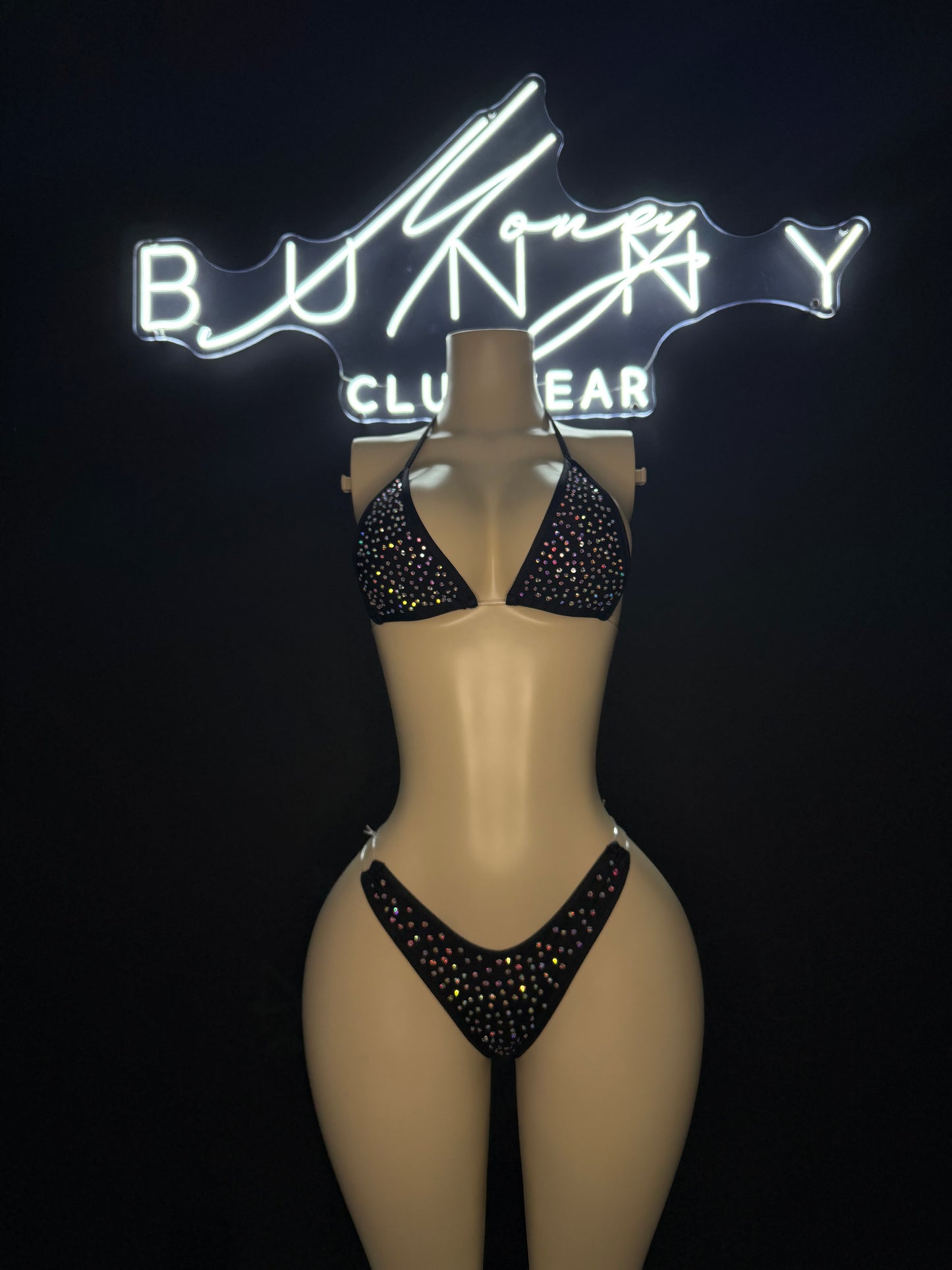 HighRolla— Black Bikini Fits M